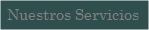 Nuestros Servicios
